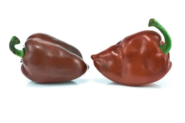 Dois pimentos vermelhos doces — Fotografia de Stock