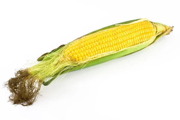 Verse maïs — Stockfoto