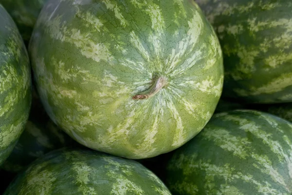 Water melons background — Stock Photo, Image