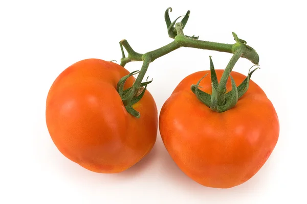 Tomatoes with petiole — Stock Photo, Image