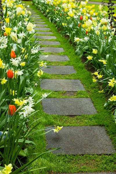 Cammino di pietra avvolgente in giardino — Foto Stock