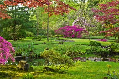 Japanese garden clipart