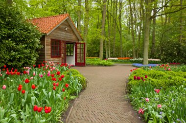 Keukenhof garden, Holland clipart