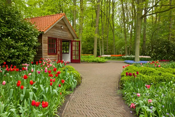 Keukenhof zahrady, Holandsko — Stock fotografie