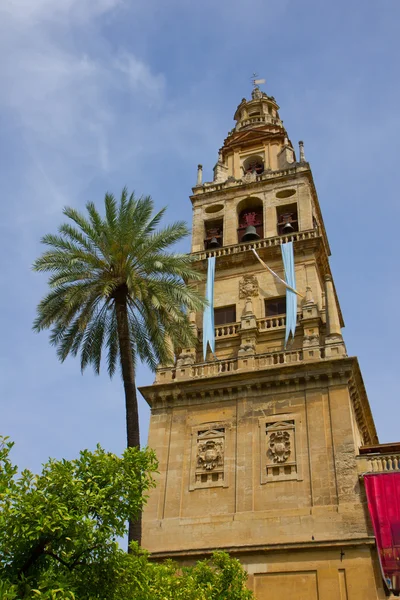 çan kulesi, katedral, cordoba, İspanya