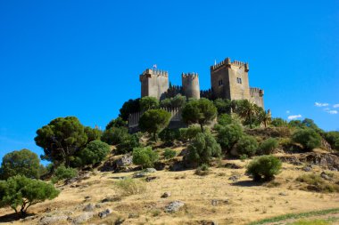 Almodovar del rio, cordoba, İspanya