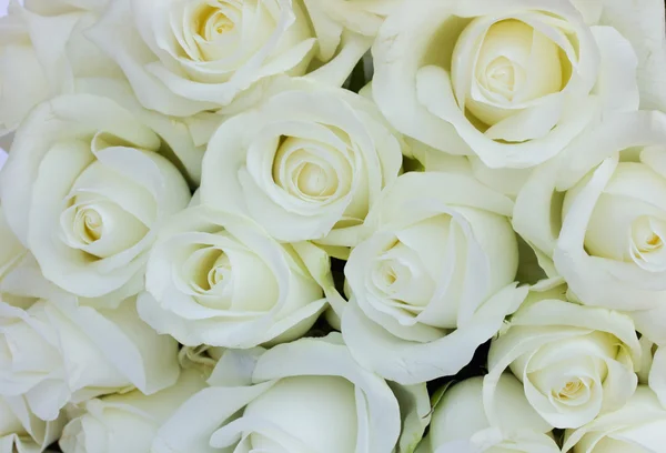 Boeket van witte rozen — Stockfoto