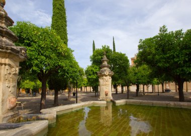 veranda katedral cami, cordoba, İspanya