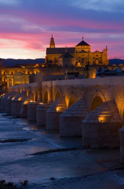 Cordoba at night, Spain clipart