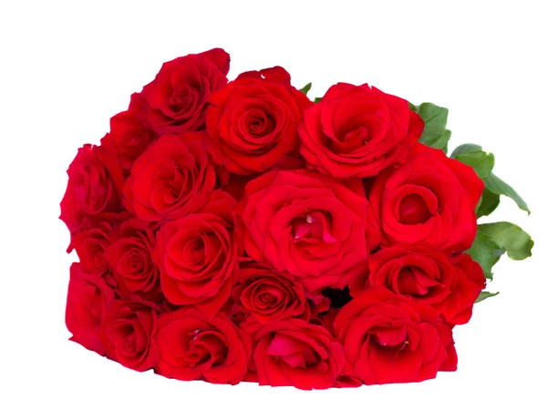 Bouquet of scarlet roses — Stock Photo, Image