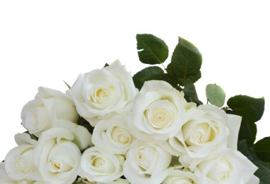 Bouquet of white roses clipart