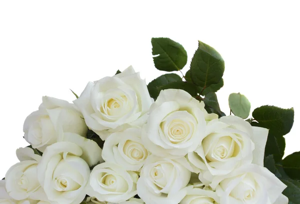 Ramo de rosas blancas — Foto de Stock