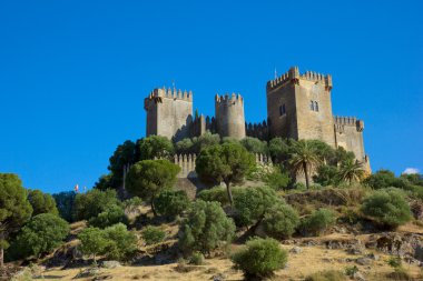 Almodovar del rio, cordoba, İspanya