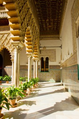 cortyard gerçek alcazar, sevilla, İspanya