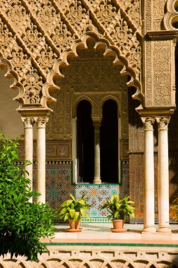 gerçek alcazar, sevilla, İspanya