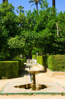 Bahçe, şairler, alcazar Sarayı, seville