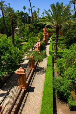 Bahçe alcazar Sarayı, seville