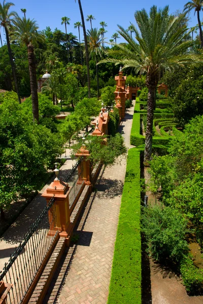 Garten des Alcazar-Palastes, Sevilla — Stockfoto
