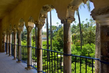 Bahçe alcazar Sarayı, seville