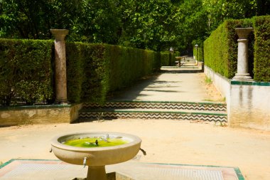 Bahçe, şairler, alcazar Sarayı, seville