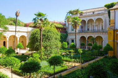Garden of Casa de Pilatos, Seville, Spain clipart
