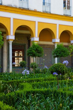 Bahçe casa de pilatos, Sevilla, İspanya