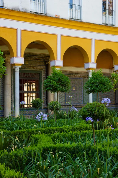 Bahçe casa de pilatos, Sevilla, İspanya