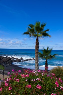 Playa Jardin, Tenerife, Spain clipart