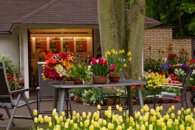 keukenhof bahçede çiçek mağazası