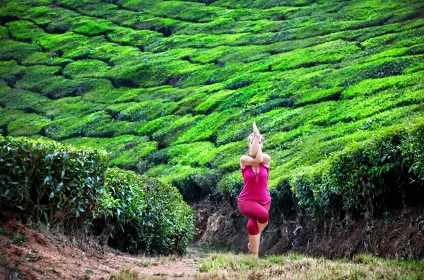 Yoga in tea plantations — Stock Photo, Image