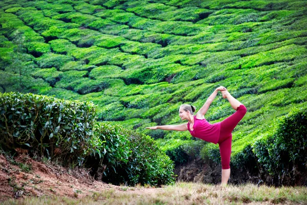 Йога на чайных плантациях — стоковое фото