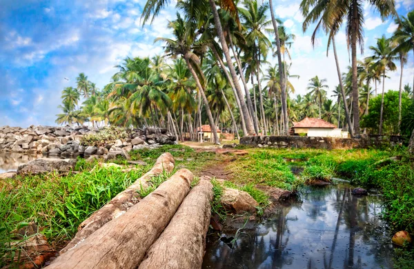 Тропическая деревня — стоковое фото