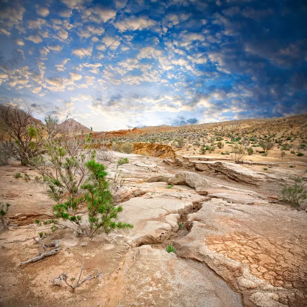 Paesaggio semi deserto — Foto Stock