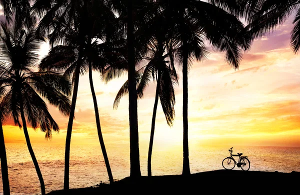 在海滩上自行车剪影 — 图库照片