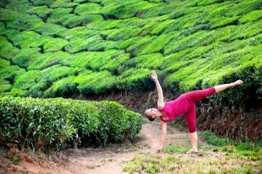 Yoga in tea plantations clipart