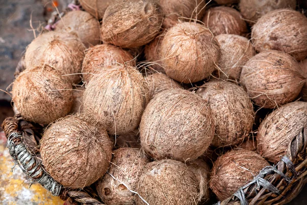 Noci di cocco al mercato indiano — Foto Stock