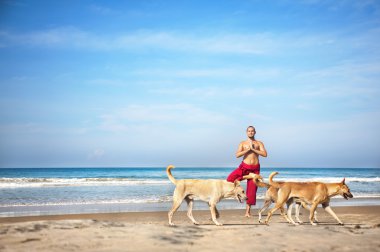 Yoga and dogs clipart