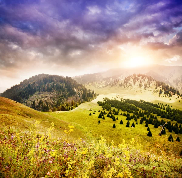 カザフスタンの山 — ストック写真