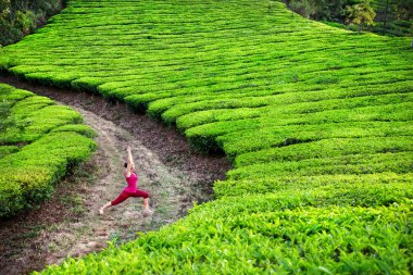 Yoga warrior pose in tea plantations clipart