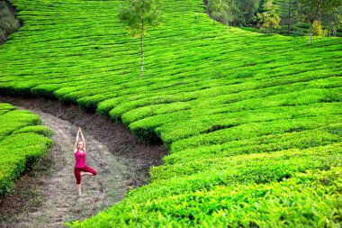 Yoga in tea plantations clipart