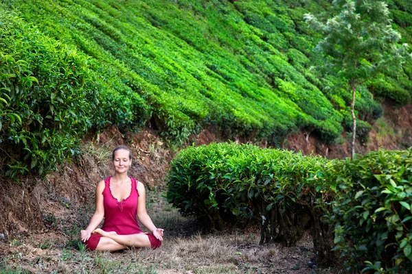 Medytacja w plantacji herbaty — Zdjęcie stockowe
