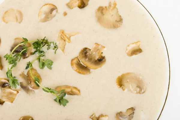 Champignon cream. mushrooms soup — Stock Photo, Image