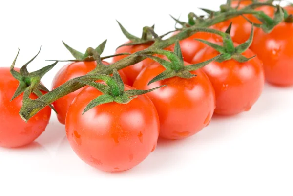 Свежие помидоры на белом — стоковое фото