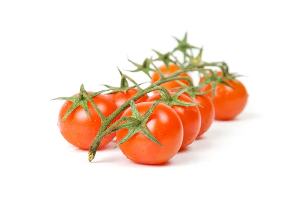 Świeże pomidory na biały — Zdjęcie stockowe