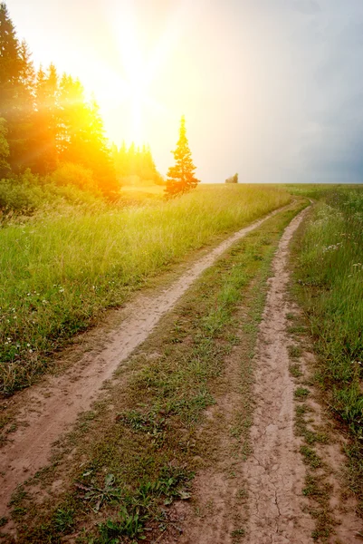 Road in field over sunset — Stock Photo, Image