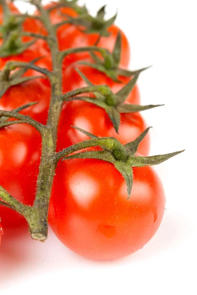 Primer plano de los tomates cherry aislados —  Fotos de Stock