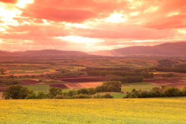 Sunset landscape, meadow in swiss alps clipart