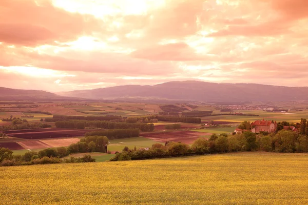 stock image Sunset landscape, meadow in swiss alps