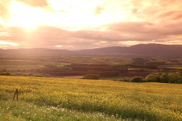 stock image Sunset landscape, meadow in swiss alps