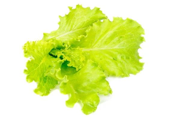Fresh salad isolated on white — Stock Photo, Image